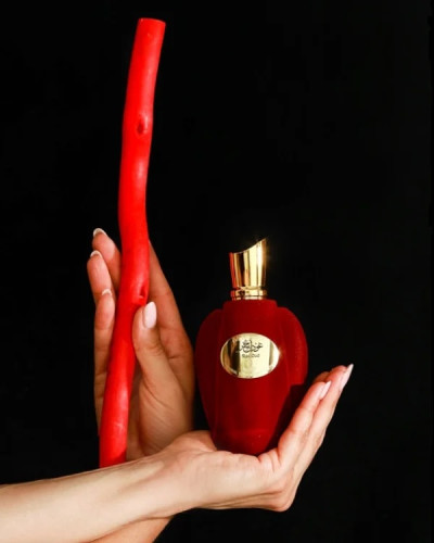 ARABIYAT PRESTIGE RED OUD Парфумована вода 100 мл